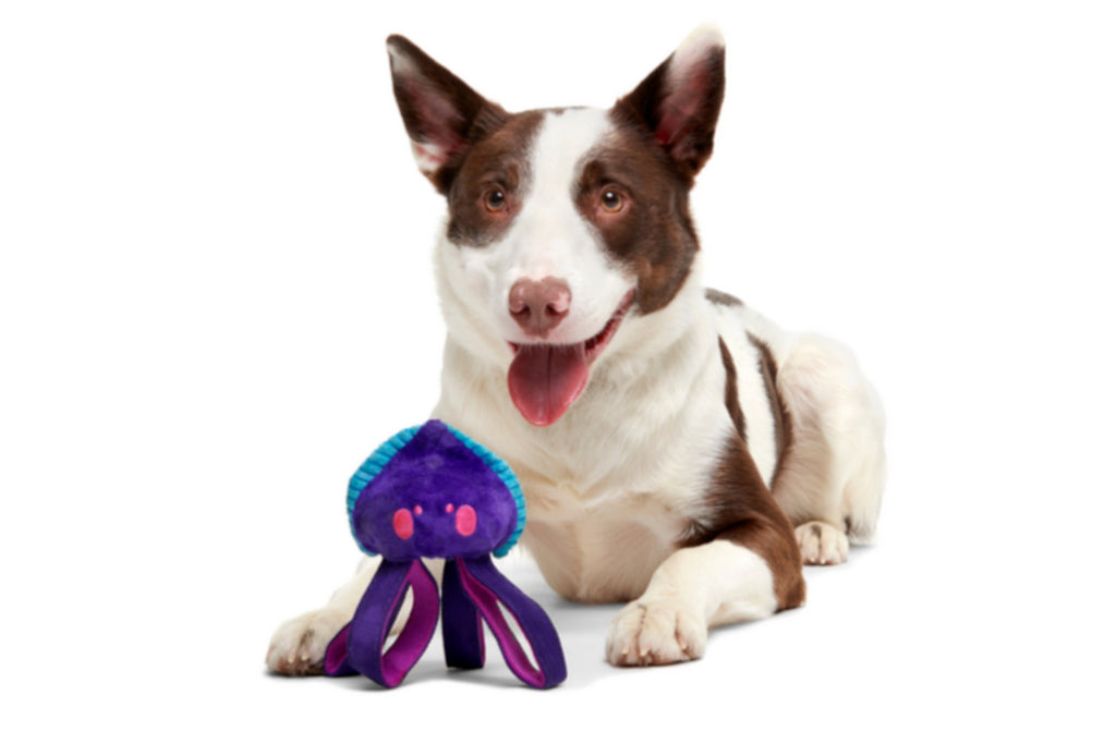 Karen Kraken Super Chewer Durable Tug Dog Toy