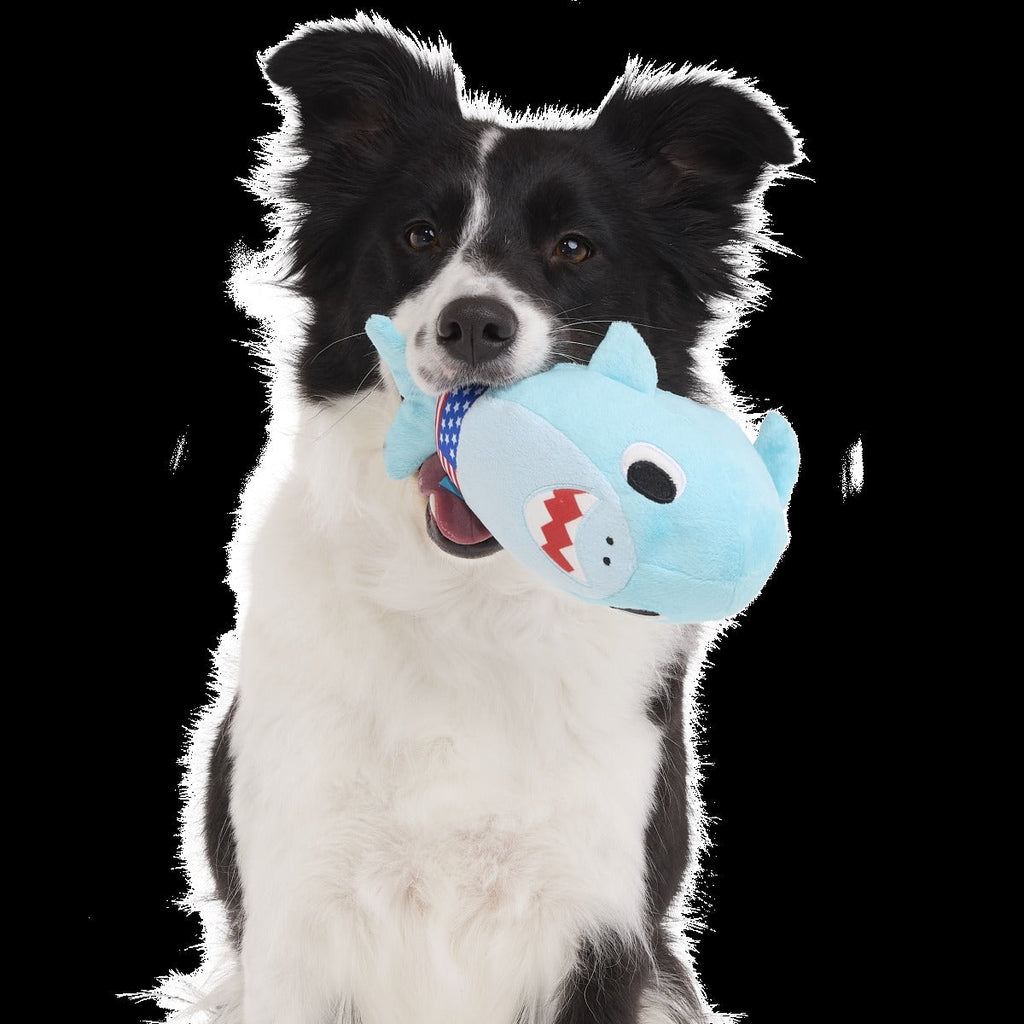 Fourth Of Jawly Jake Plush Tug Dog Toy