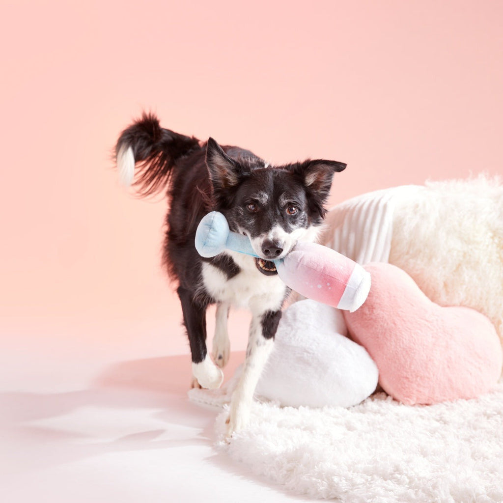 Pink Chompagne Plush Tug Dog Toy