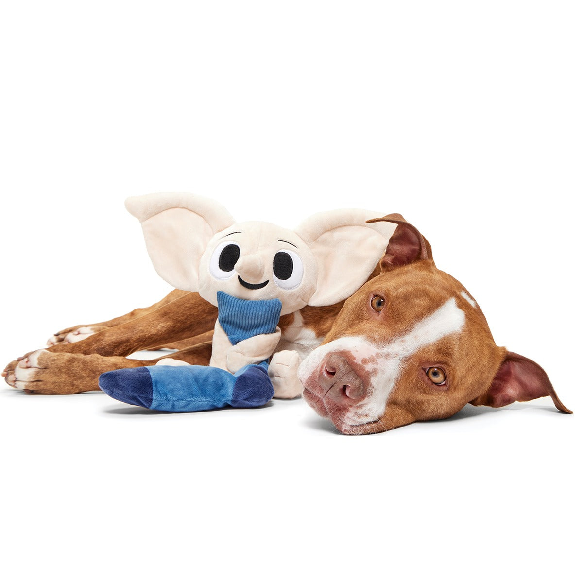 DobbyTM Plush 2-in-1 + Tug Dog Toy