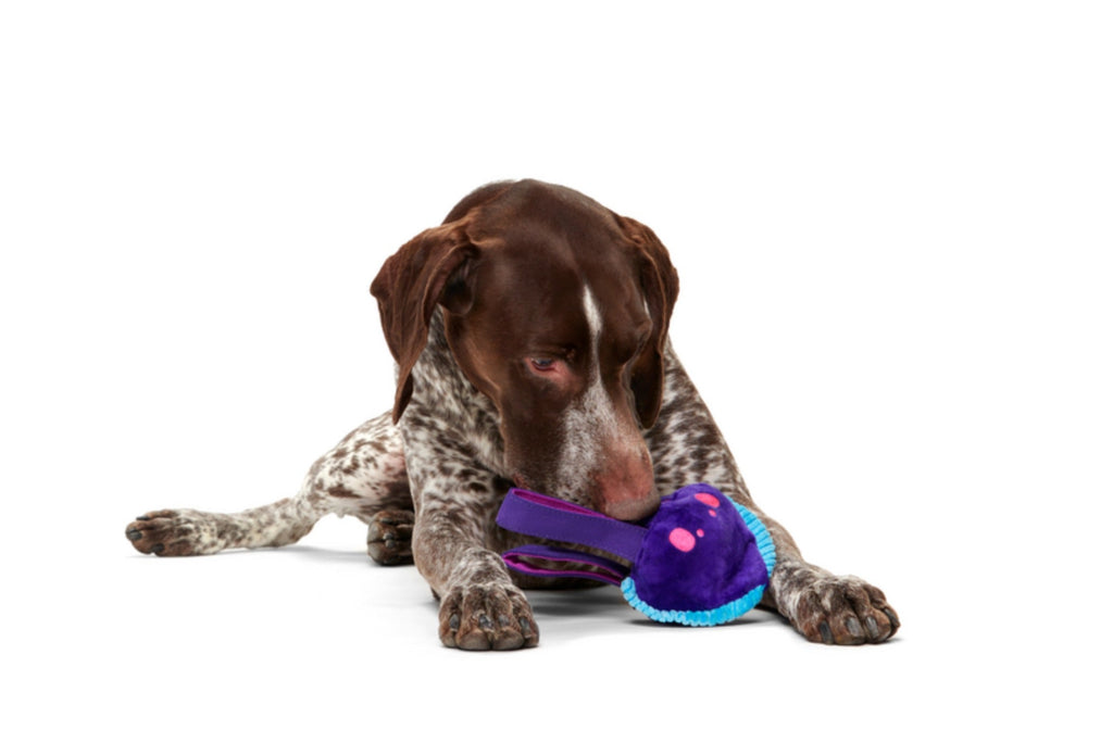 Karen Kraken Super Chewer Durable Tug Dog Toy