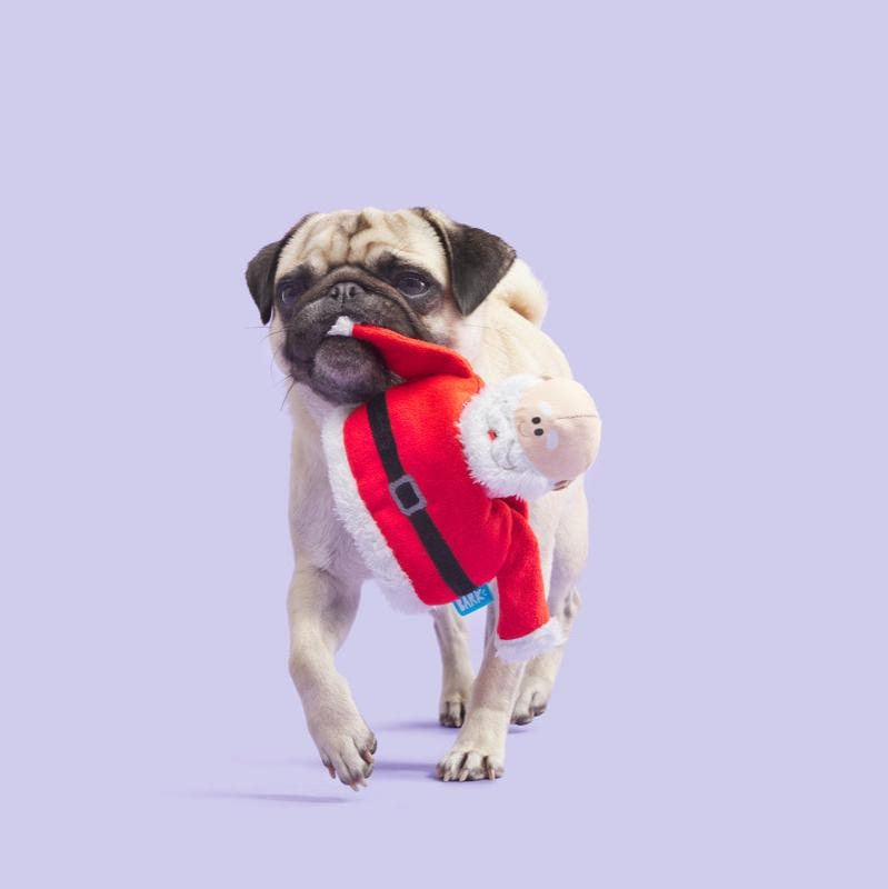 Ol' Kris KringleTM Plush Multi-Part Dog Toy