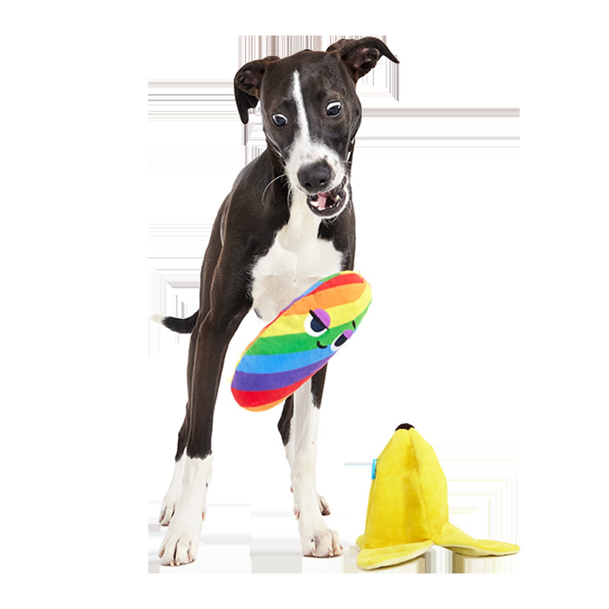 Top Banana Plush Multi-Part Dog Toy
