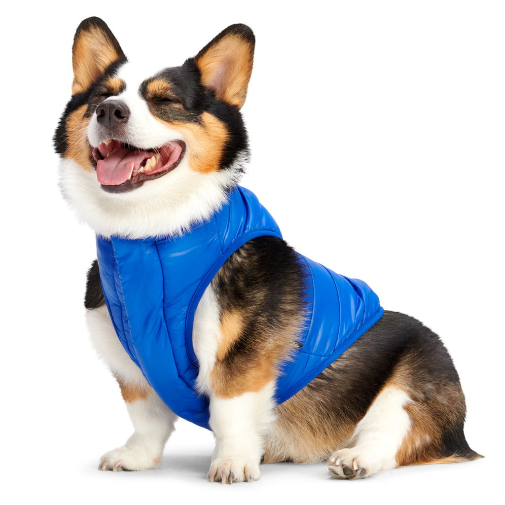 Puffer Dog Vest