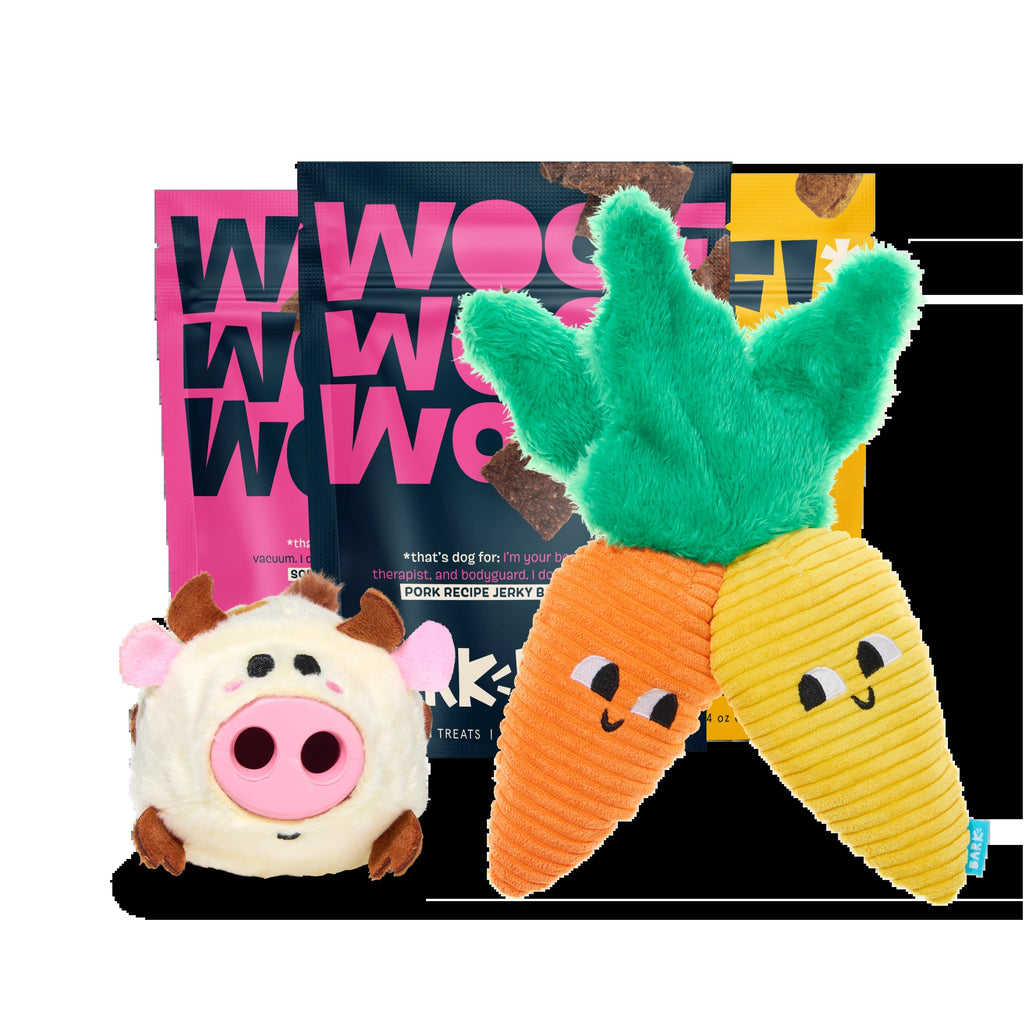 BARK 12 Month Subscription - FREE Extra Treats