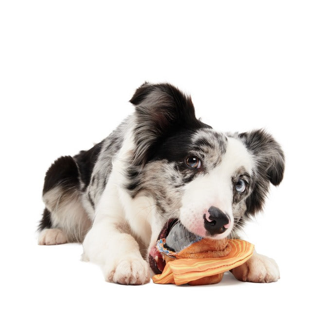 Flings Around Saturn Super Chewer Durable Fetch Dog Toy