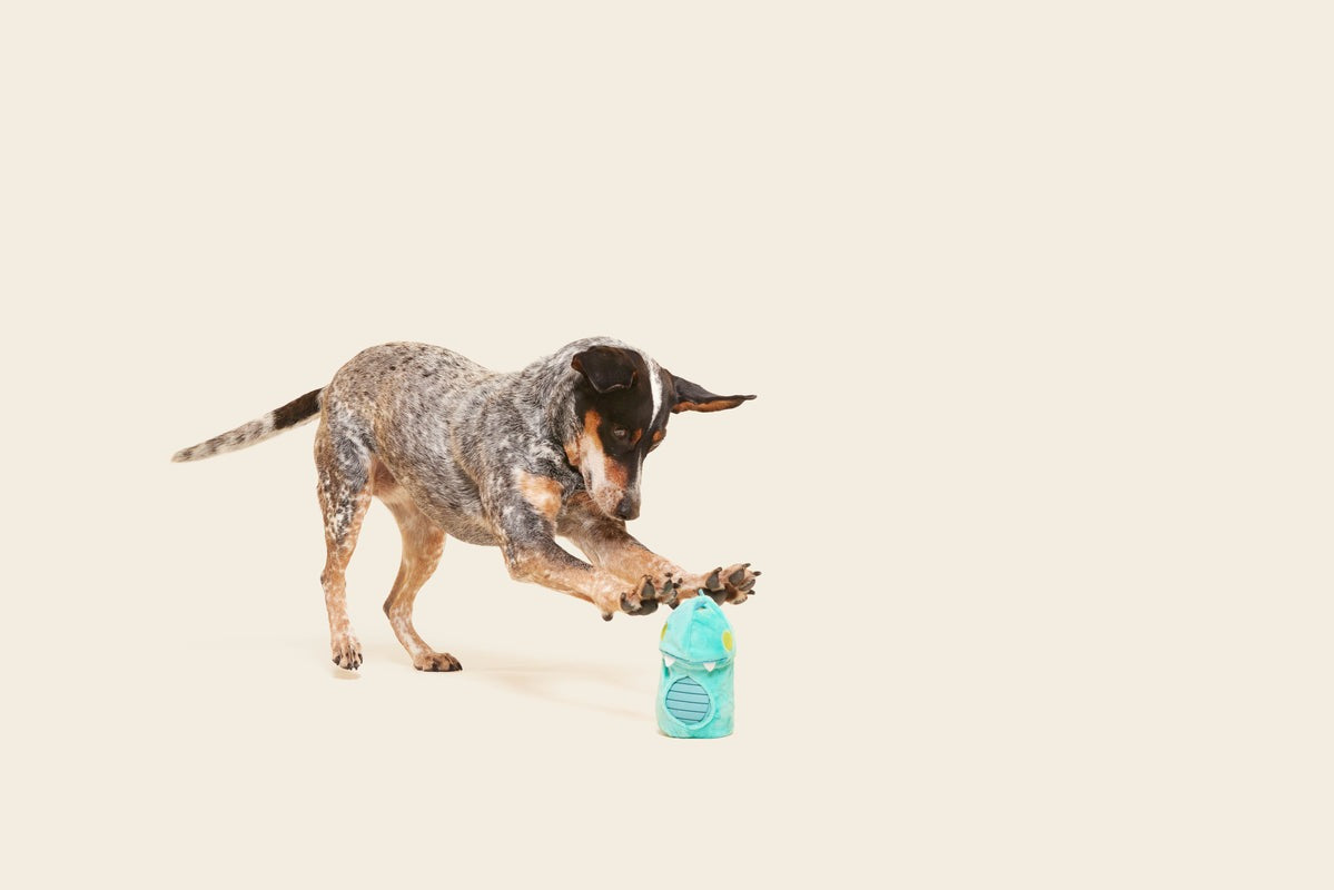 Chomposaurus Super Chewer Durable 2-in-1 Rip and Reveal Dog Toy