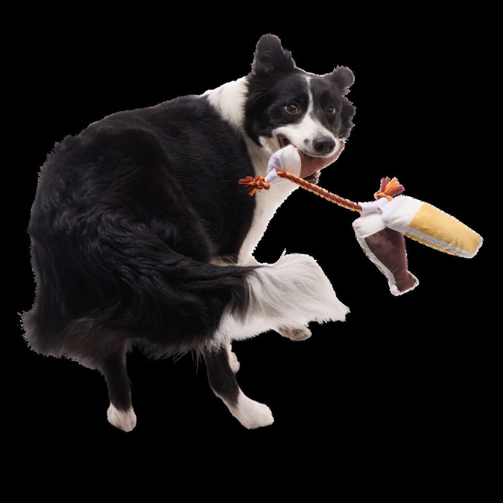 Tug-of-Beers Plush Tug Dog Toy