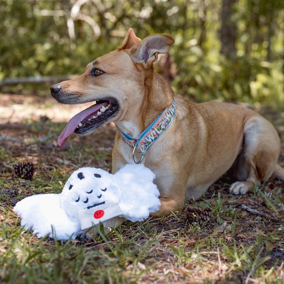 HedwigTM Plush Tug Dog Toy