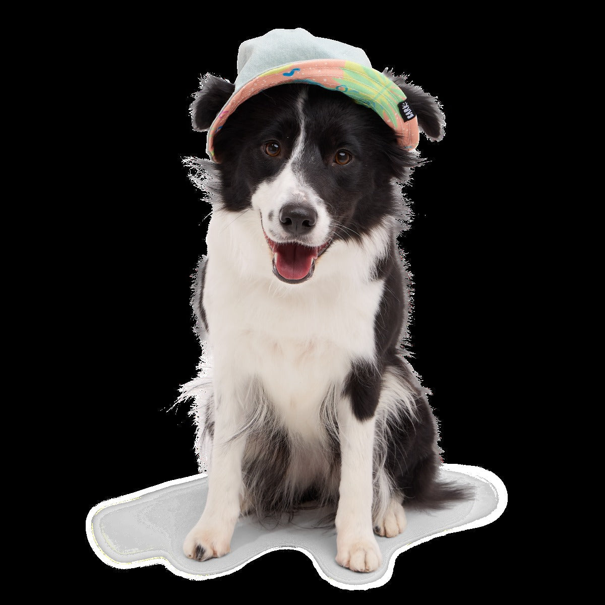 Summertime Reversible Bucket Dog Hat
