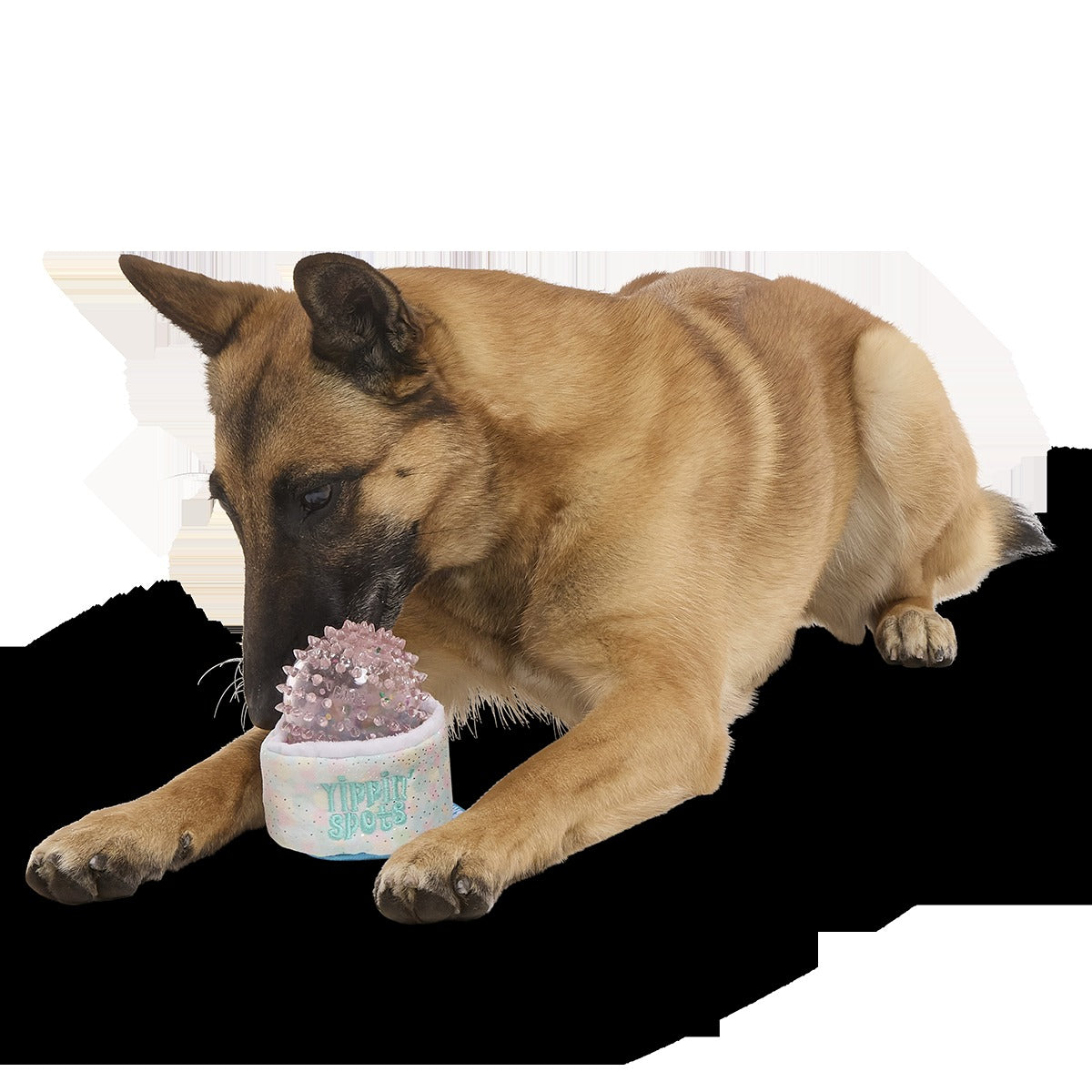 Yippin’ Spots Plush Multi-Part Fetch + Enrichment Dog Toy