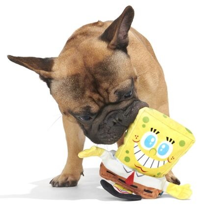 Plush SpongeBob Bundle