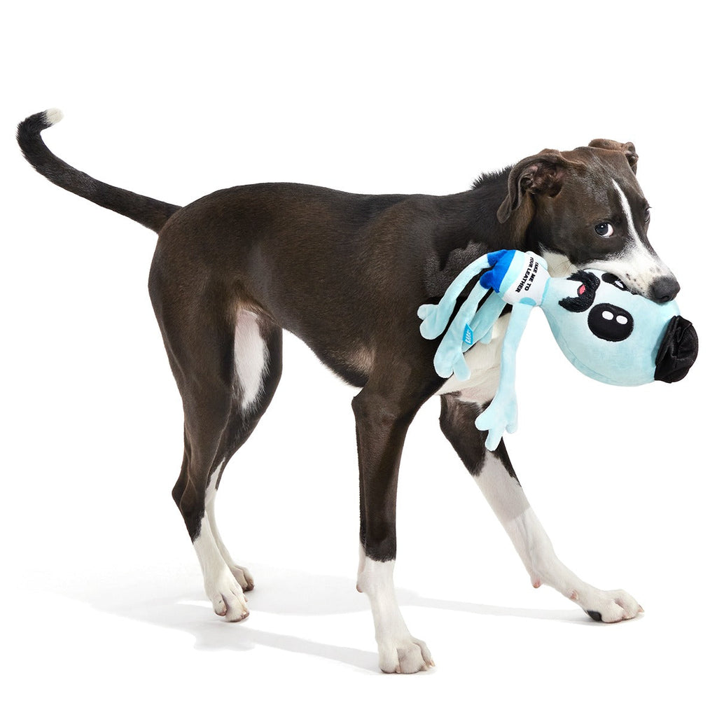 The Gaylien Plush 2-in-1 Tug Dog Toy