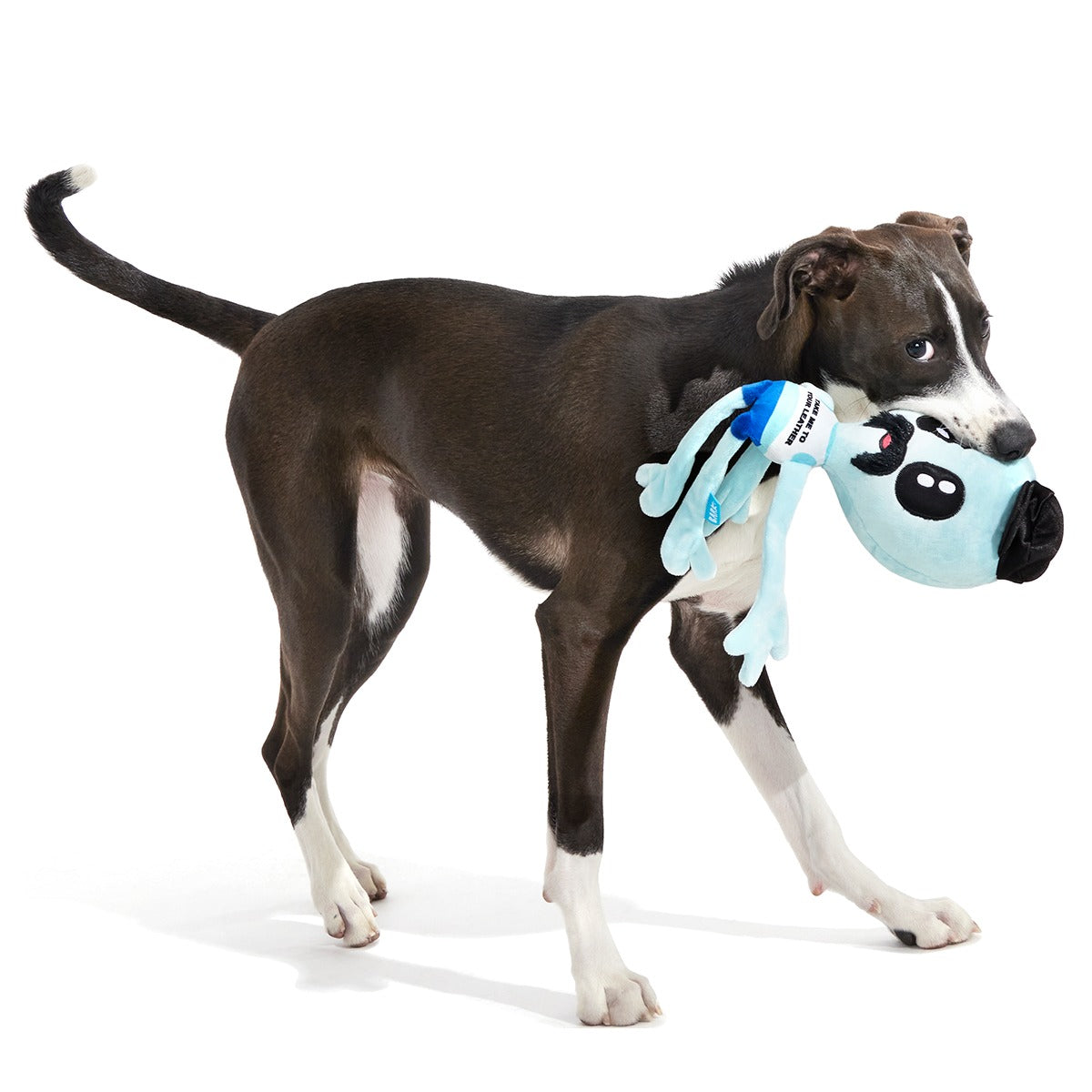 The Gaylien Plush 2-in-1 Tug Dog Toy