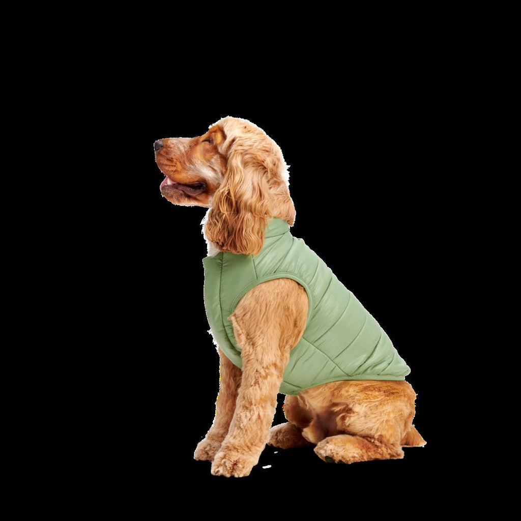 Puffer Dog Vest