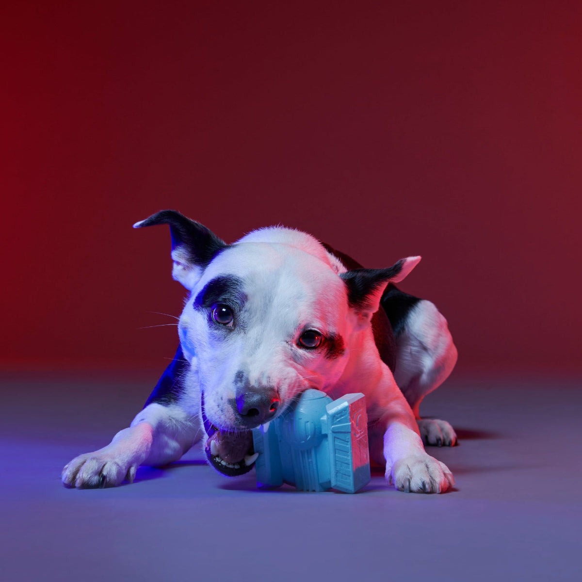 TIE FighterTM Biter Super Chewer Durable Fetch + Gnaw Dog Toy