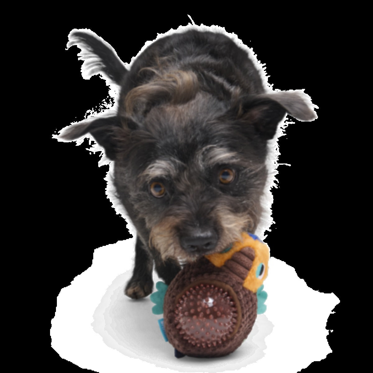 Don The Glyptodon Plush Multi-Part Dog Toy
