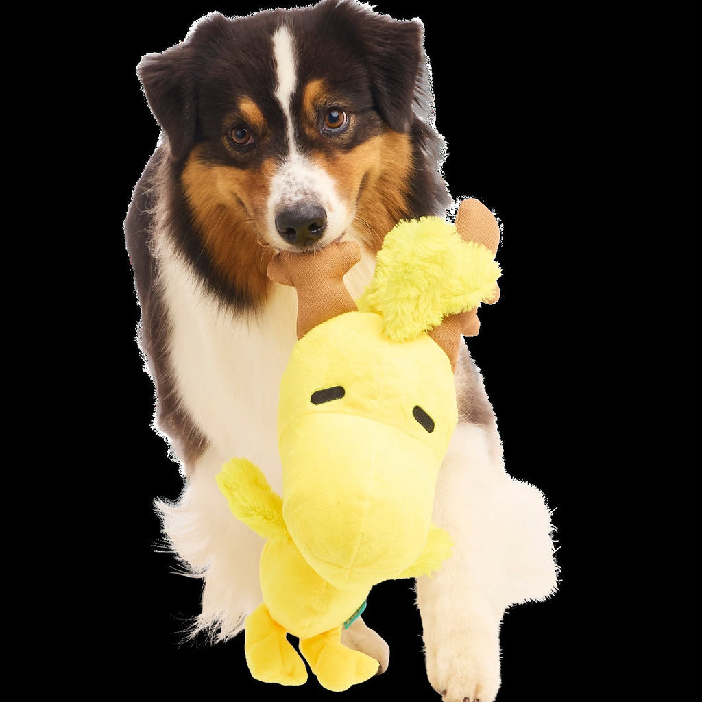 Reinbird Plush Extra-Large + Tug Dog Toy
