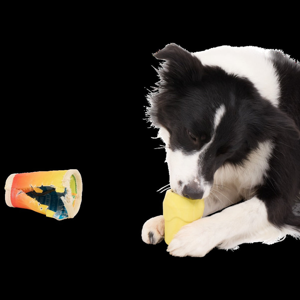 Mai Toy Super Chewer Durable 2-in-1 + Enrichment Dog Toy