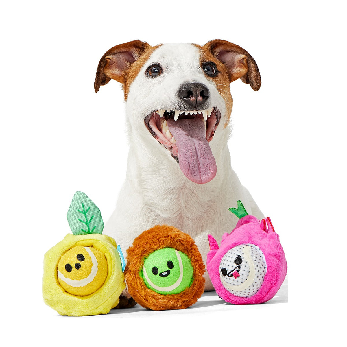 Fruity Cutie Tropical Trio Plush Multi-Part + Fetch Dog Toy