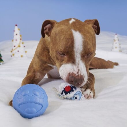 Ruff n' Tumble BumbleTM Durable Super Chewer 2-in-1 Rip and Reveal Dog Toy