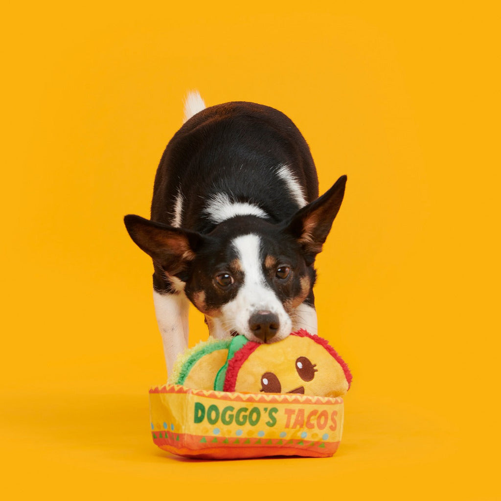 Doggo's Tacos Plush Multi-Part Enrichment Dog Toy