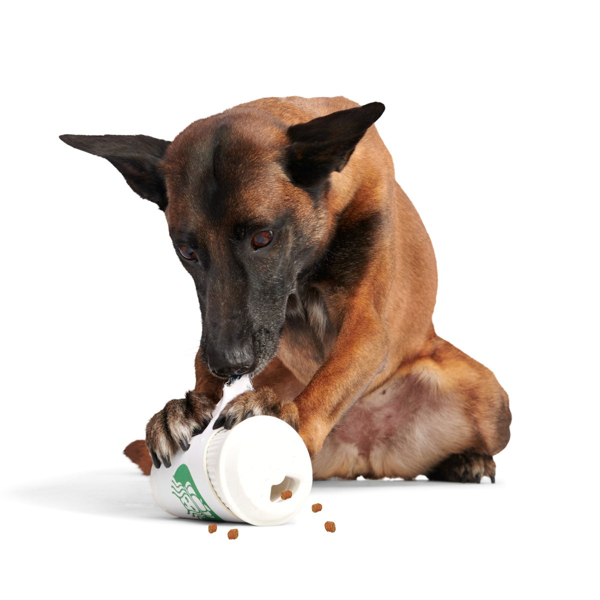 Pupkin Spice Yappuccino Durable Super Chewer 2-in-1 Rip and Reveal + Enrichment Dog Toy