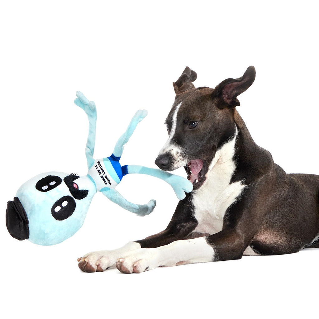 The Gaylien Plush 2-in-1 Tug Dog Toy