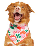 Valentine's Day Dog Bandana