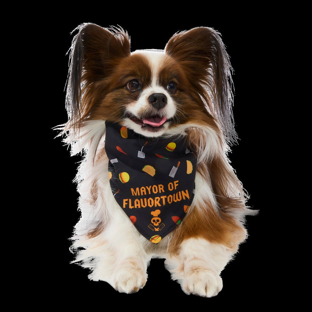 FlavortownTM Dog Bandana