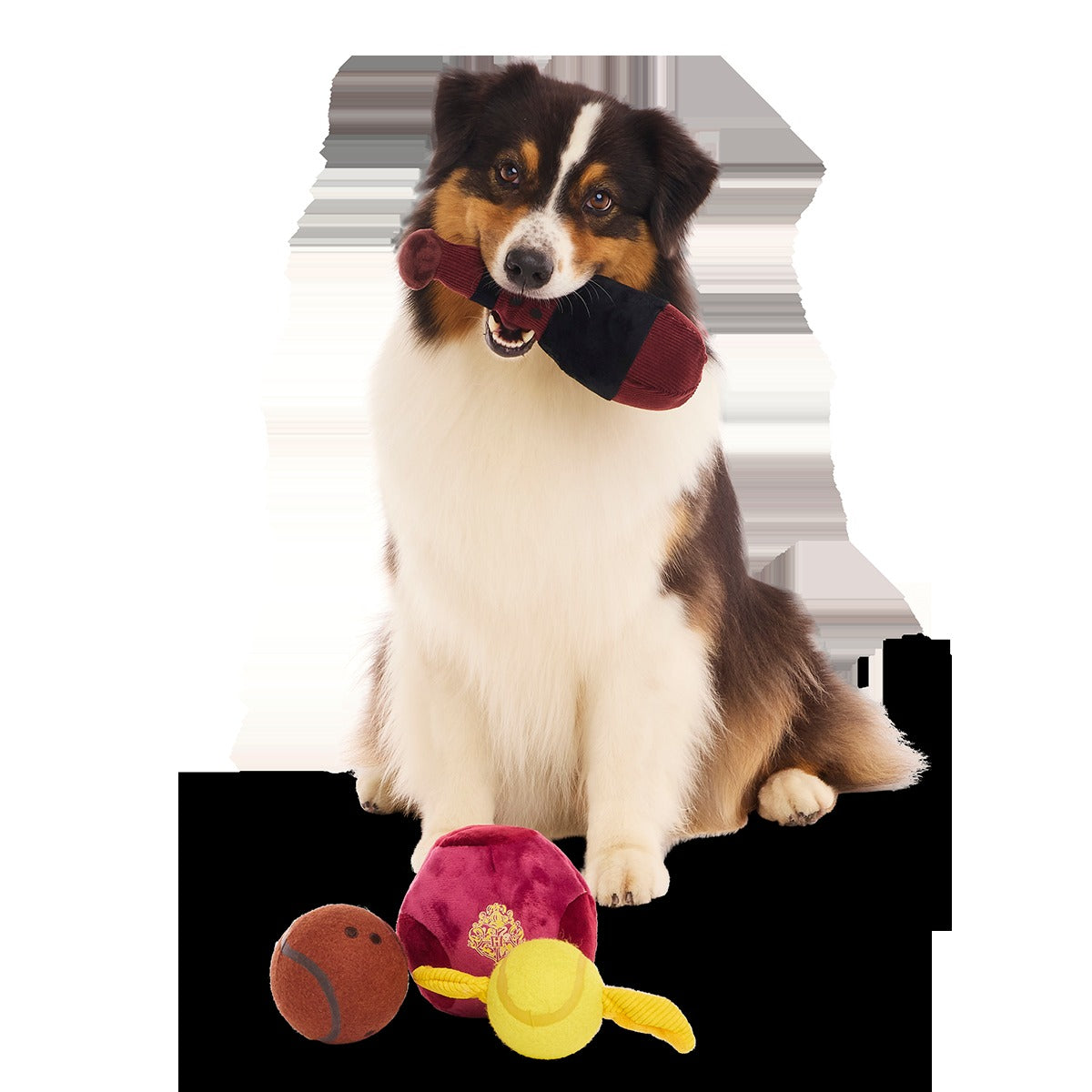 QuidditchTM Equipment Pack Plush Multi-Part + Tennis Ball Fetch Dog Toy