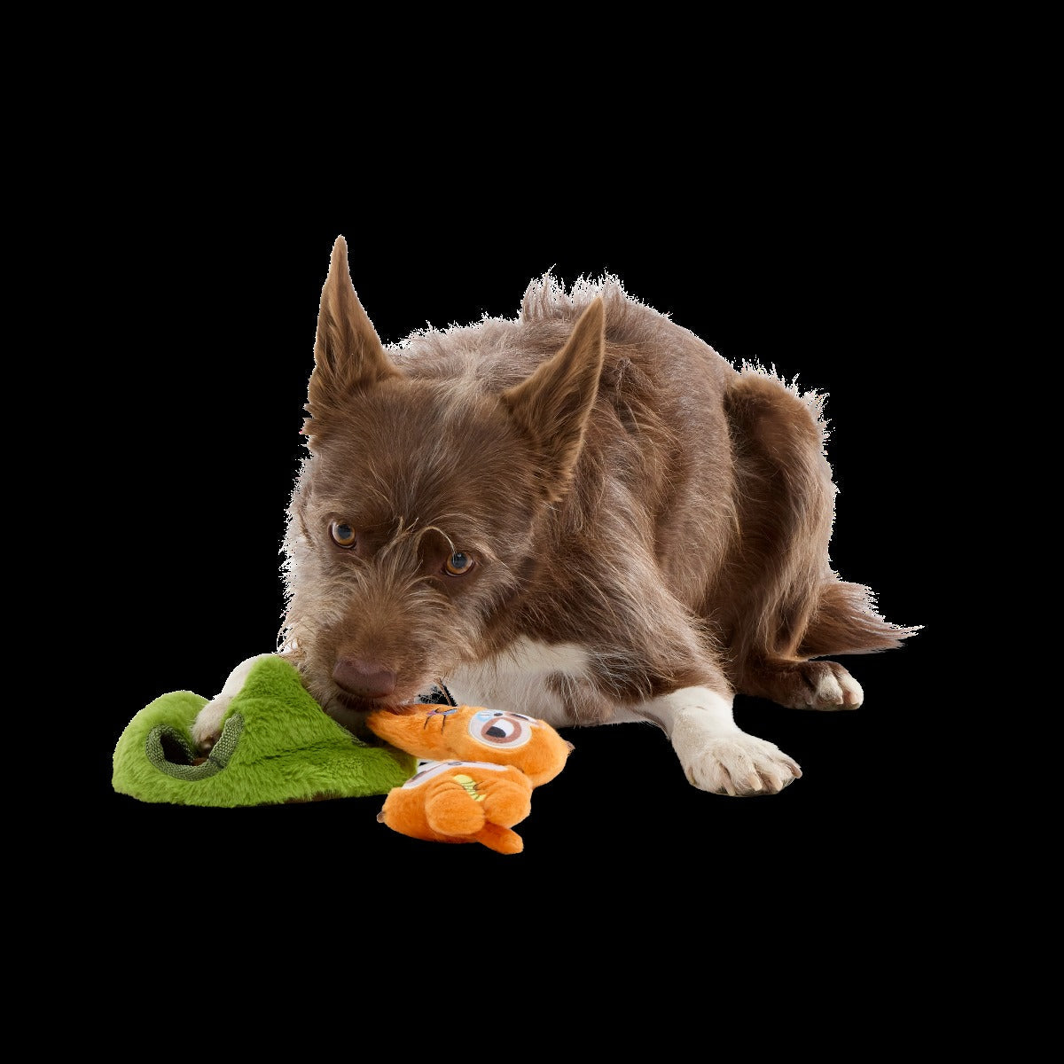Mchanga & Mwanga Meerkat Plush Enrichment + Multi-Part Dog Toy