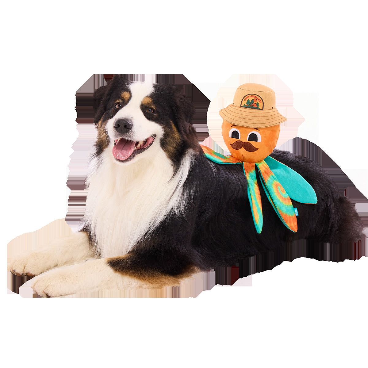 Ollie the Octopus Club, Plush Tug Monthly Dog Toys