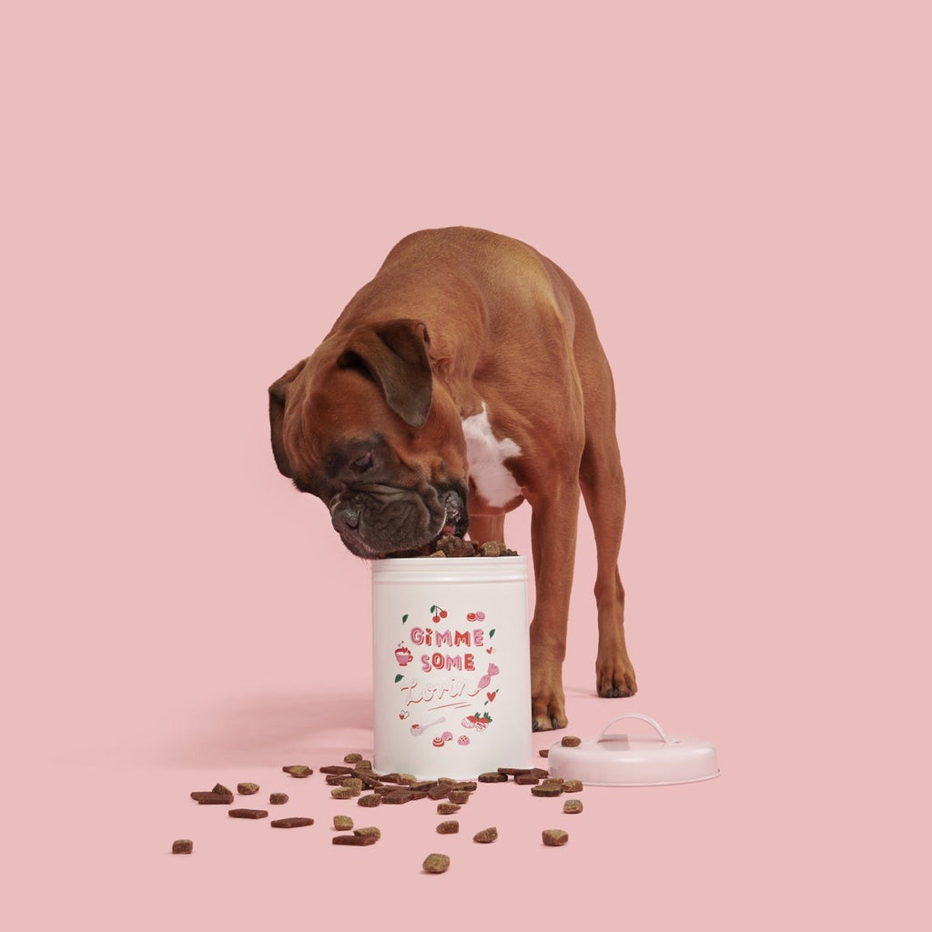 Valentine's Day Dog Treat Jar