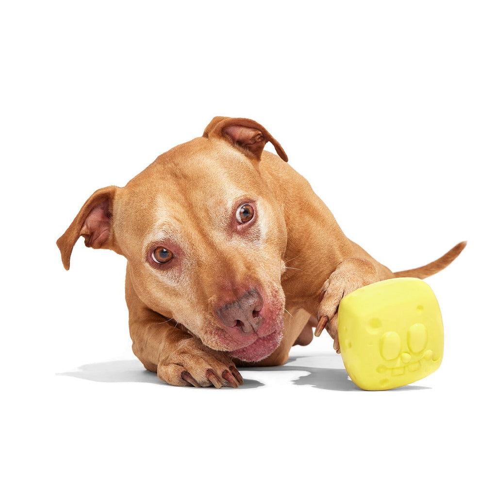 SpongeBob SqueakPants Super Chewer Durable Fetch Dog Toy