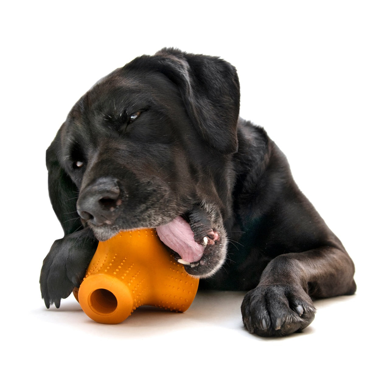 Coral Teef Super Chewer Durable Gnaw + Fetch Dog Toy