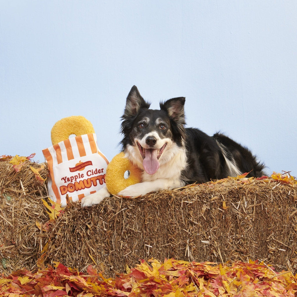 Yapple Cider Domutts Plush Extra-Large + Multi-Part + Enrichment Dog Toy