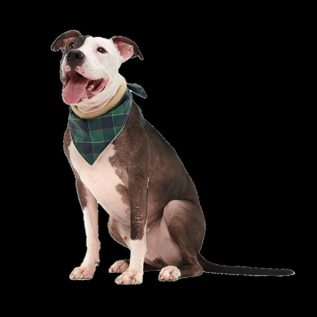 Plaid To The Bone Dog Bandana