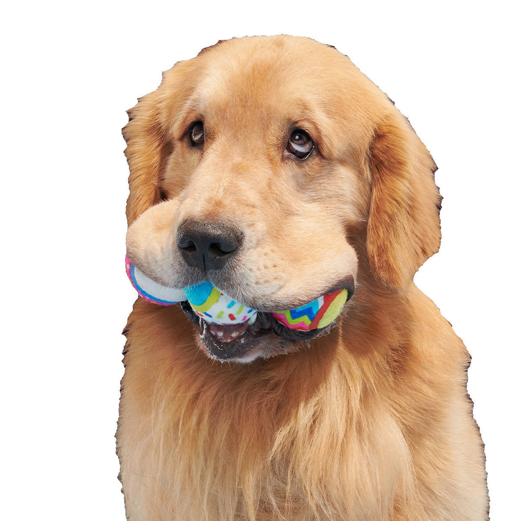 Party Fetchers Plush Multi-Part Fetch Dog Toy