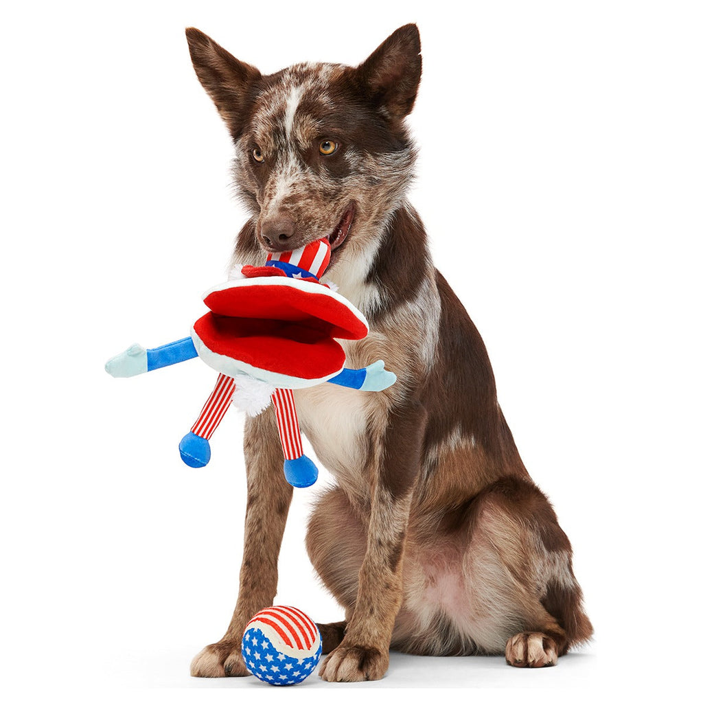 Uncle Clam Plush Multi-Part + Fetch Dog Toy