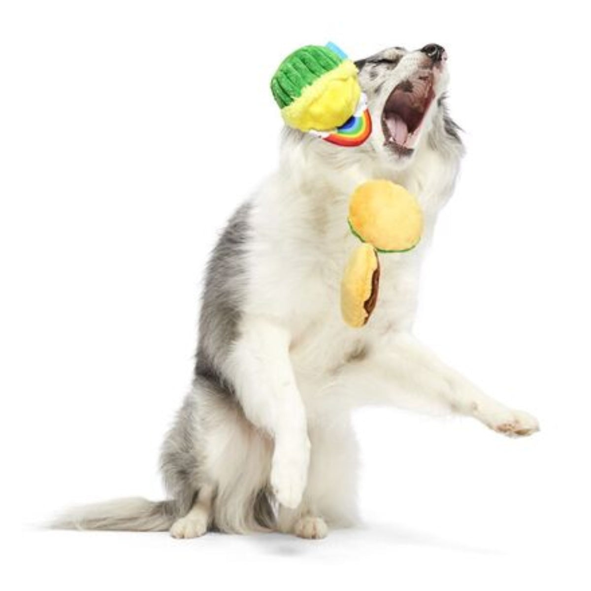 Patty Cakes Plush Multi-Part Dog Toy