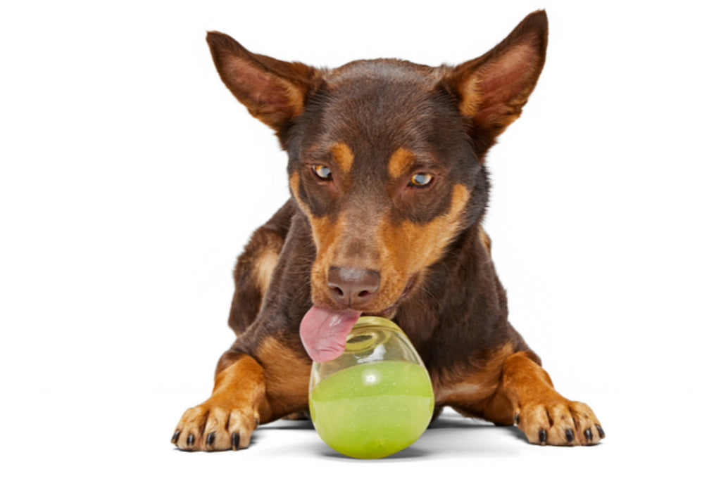 Tipsy Margarita Super Chewer Durable Enrichment Dog Toy