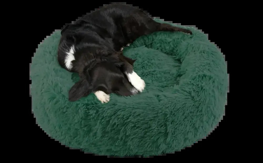 Dog Bed