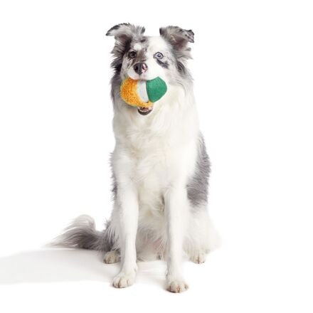 Lucky Larry Leprechaun Super Chewer Durable 2-in-1 Dog Toy