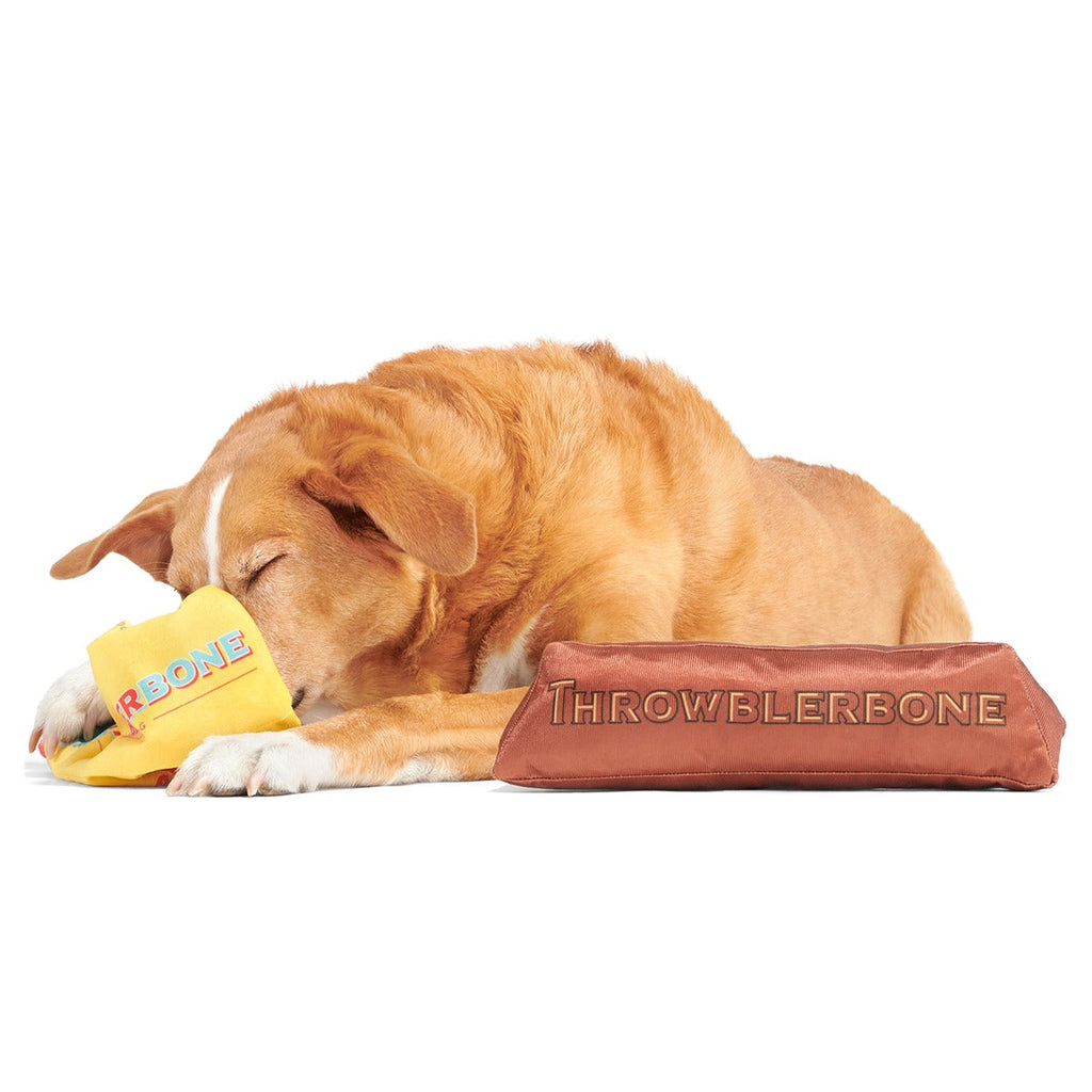 ThrowblerBone Plush Extra-Large + Multi-Part + Enrichment Dog Toy