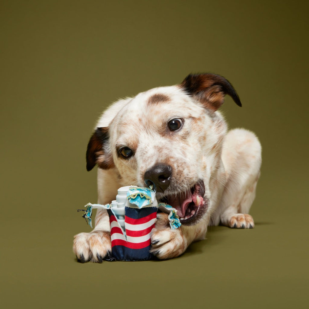 Nedry's Scheme Revealed Durable Super Chewer 2-in-1 Rip and Reveal Dog Toy
