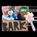 BARK 6 Month Subscription - Wicked Double Deluxe First Box