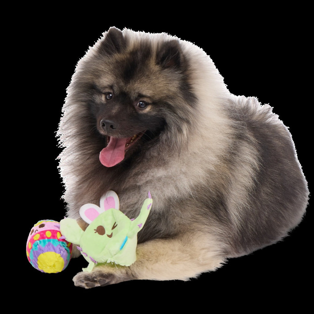 Consuela the Hoppy Cactus Plush 2-in-1 + Tug Dog Toy