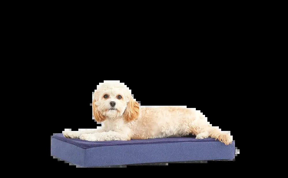 Dog Bed