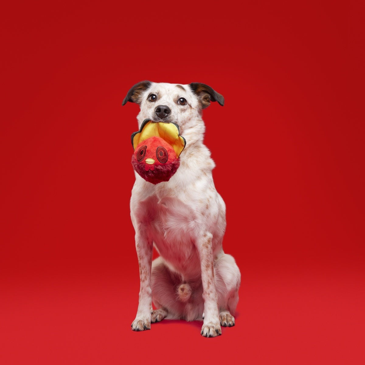 Tough Stuffed Turducken Durable Super Chewer 2-in-1 Rip and Reveal Dog Toy
